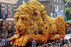 Цветочный парад пройдет в Нидерландах Турфирма ТАЛОРА.