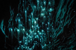 Вайтомо, пещера, где обитают светлячки.Новая Зеландия.. Турфирма ТАЛОРА.