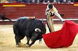 Коррида во французском Арле. Турфирма ТАЛОРА.