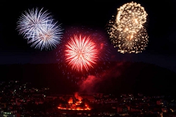 Фестиваль "Огни Рейна". Германия, Бонн. Турфирма ТАЛОРА.