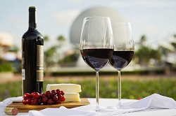 La Fete des Vins. Франция, Шабли. Турфирма ТАЛОРА.