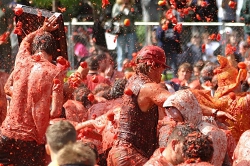 Ла Томатина. Испания, Буньол. Турфирма ТАЛОРА.