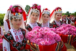 Фестиваль ''Розы Болгарии''. Турфирма ТАЛОРА.