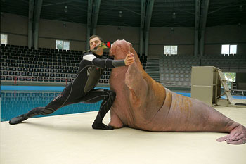 Стамбульский Дельфинарий. Турфирма ТАЛОРА.